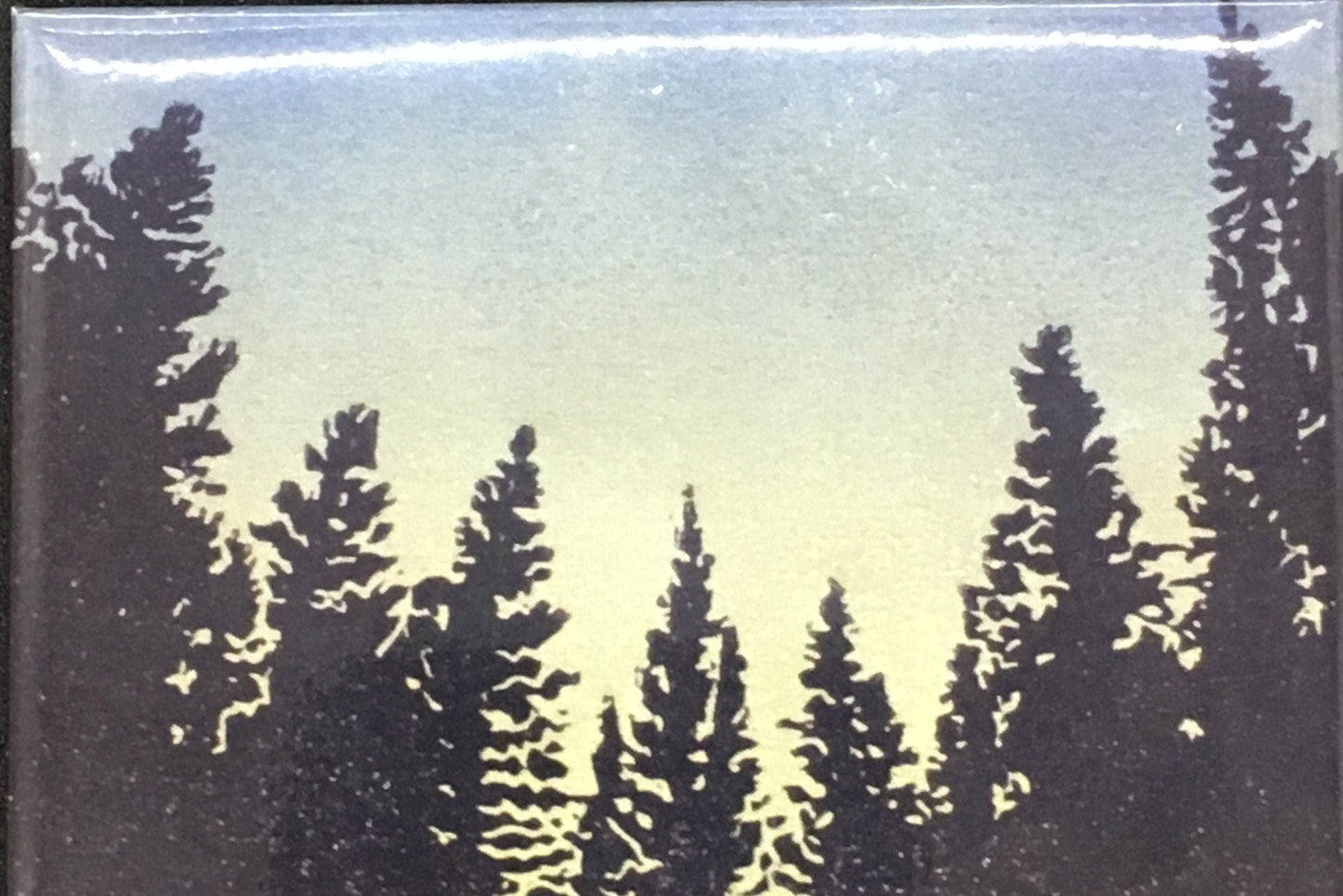Redwoods Magnet 2.5 x 3.5" Original Linocut Art