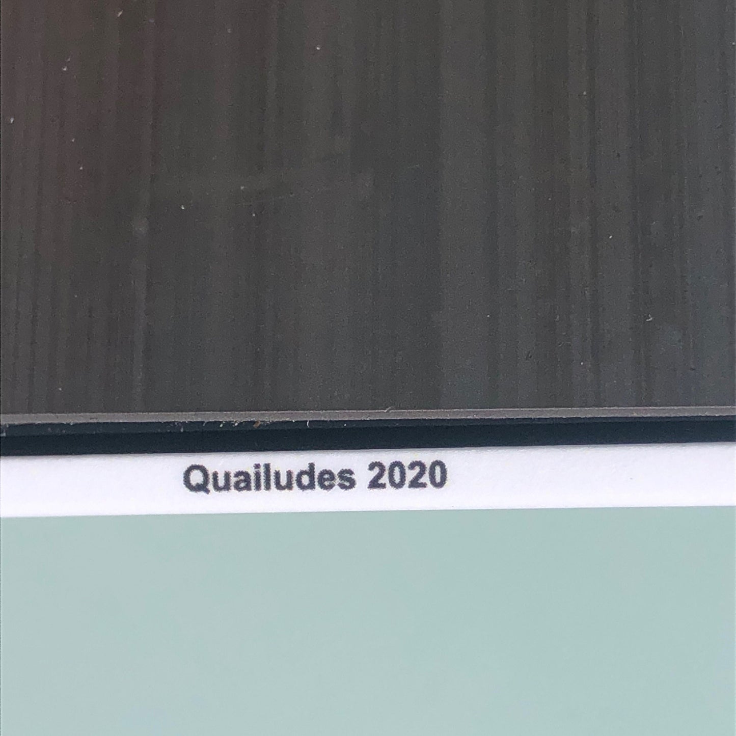 Back side of magnet with title "Quailudes 2020" in black text on white margin.