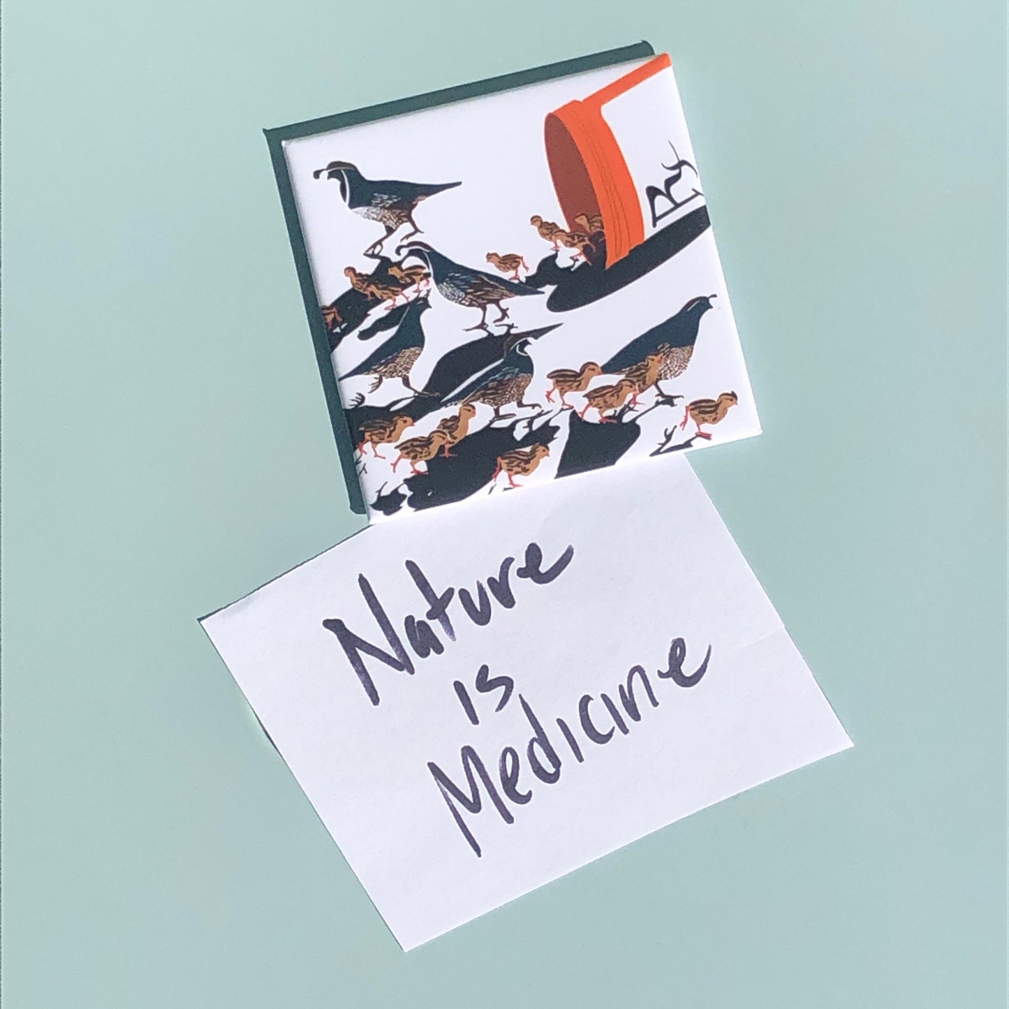 Mylar magnet with a covey of California quail (Callipepla californica) emerging from a prescription bottle, holding a note that reads "nature is medicine".