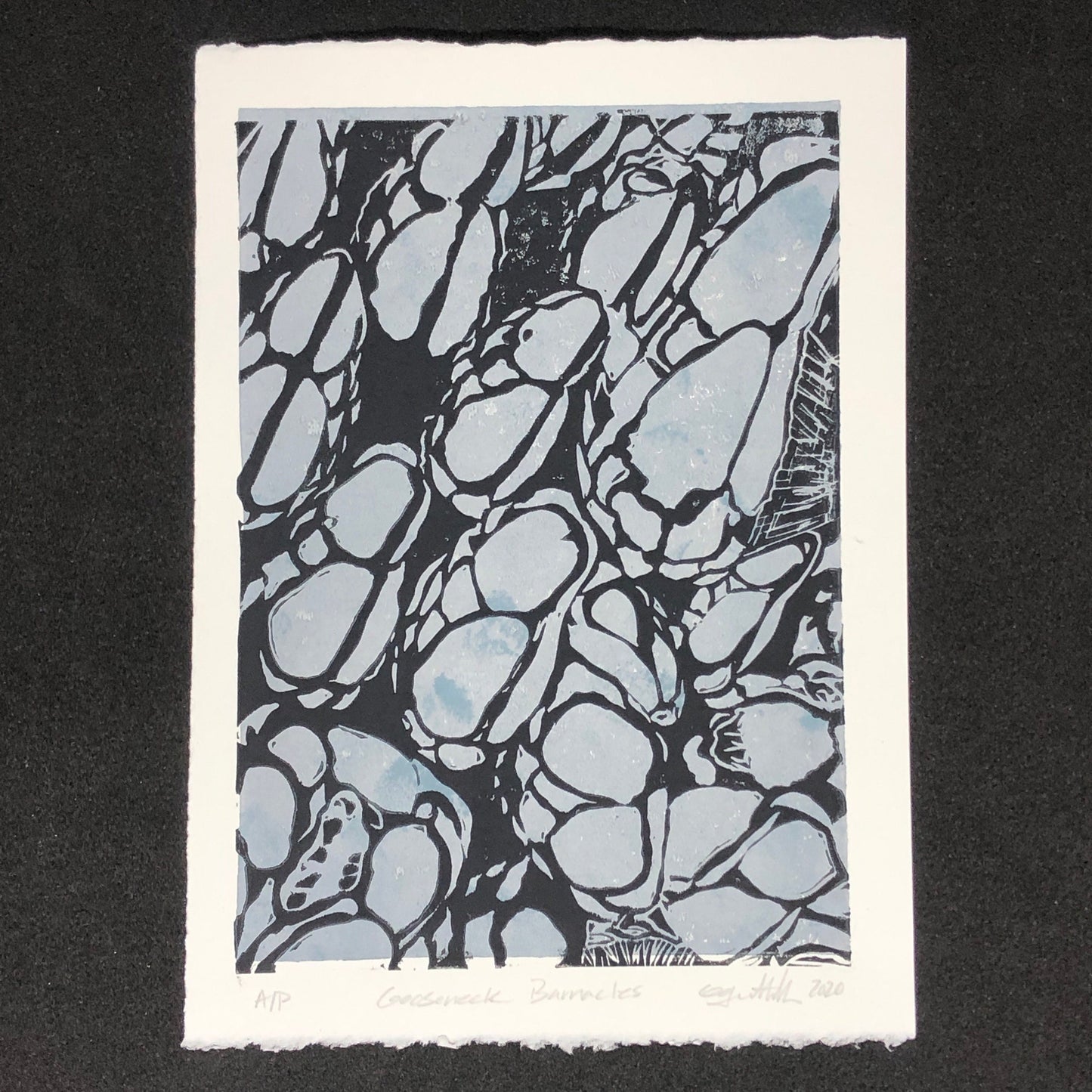 Gooseneck Barnacles,Original Linocut Print, Artist’s Proof, Limited Edition 5 x 7 in (12.7 x 17.8 cm), cool blue, beach house vibe