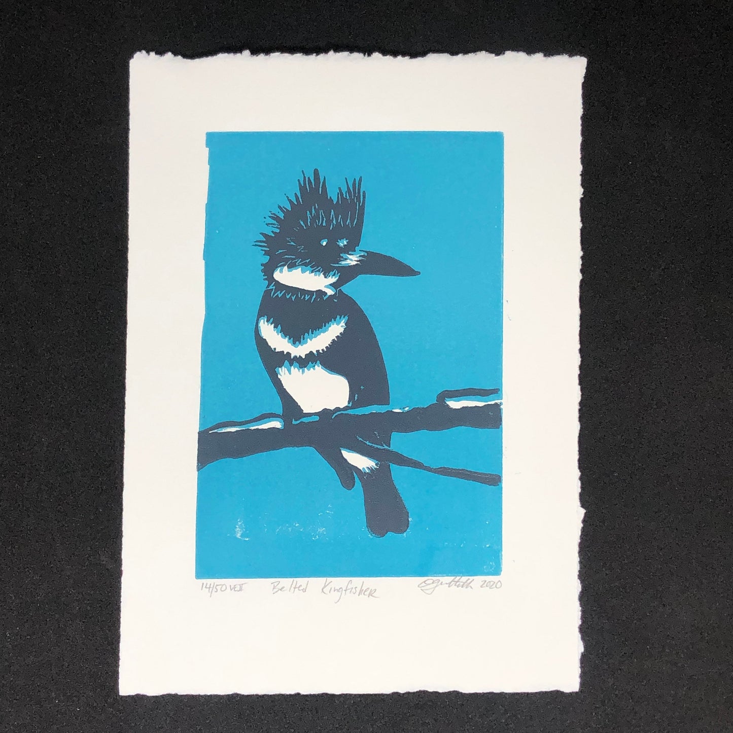 Belted Kingfisher (Megaceryle alcyon) Original Linocut Print monochromatic blue 4 x 6 in. (10 x15 cm), home decor for nature lover & birder
