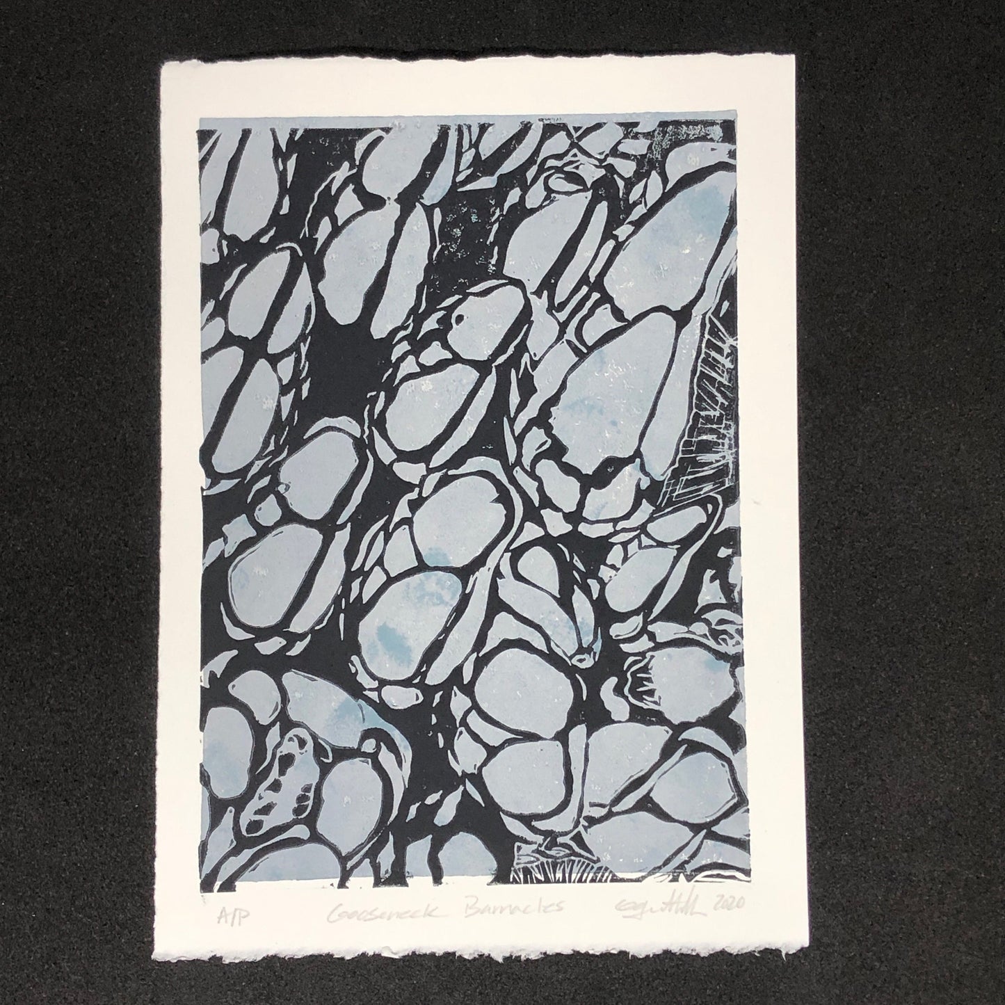 Gooseneck Barnacles,Original Linocut Print, Artist’s Proof, Limited Edition 5 x 7 in (12.7 x 17.8 cm), cool blue, beach house vibe