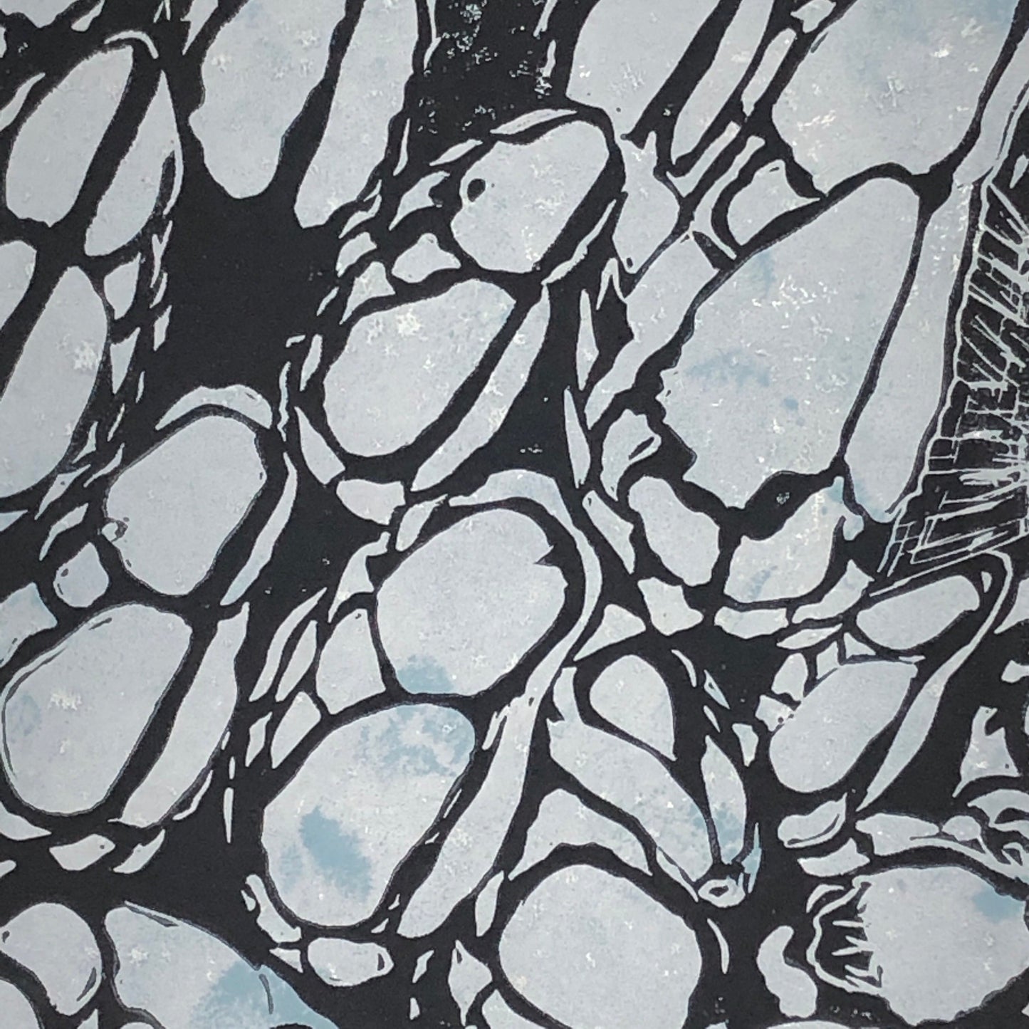 Gooseneck Barnacles,Original Linocut Print, Artist’s Proof, Limited Edition 5 x 7 in (12.7 x 17.8 cm), cool blue, beach house vibe
