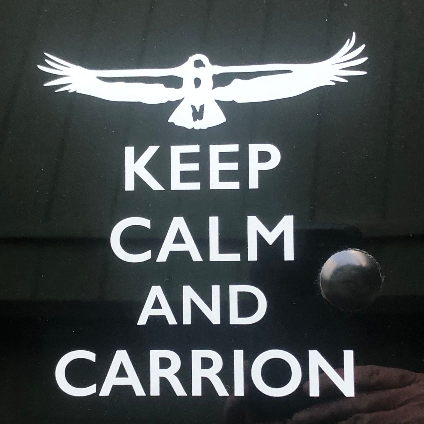 Keep Calm and Carrion California Condor Weather Resistant Vinyl Decal