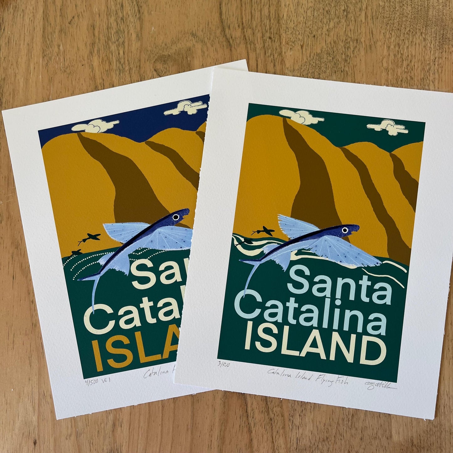 Santa Catalina Island Flying Fish Print Limited Edition