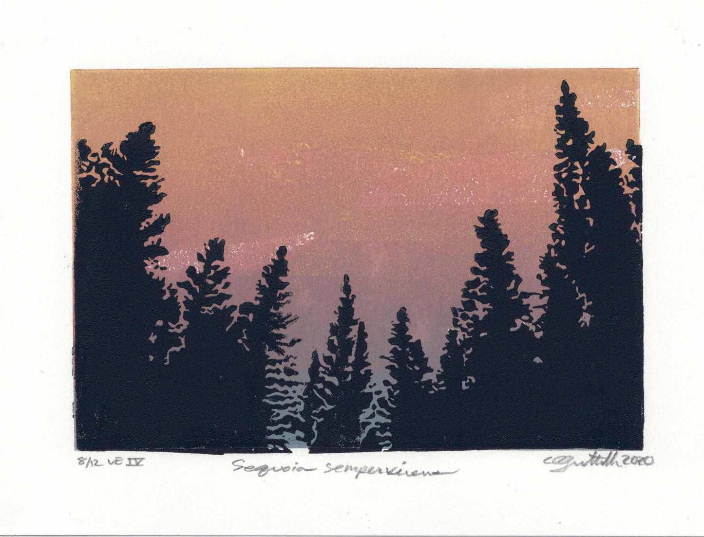 Redwoods Original Linocut Print, 4” x 6” Print Image, Giant Sequoias Print, Wilderness Print, Nature Print, Wildlands Print, California Art