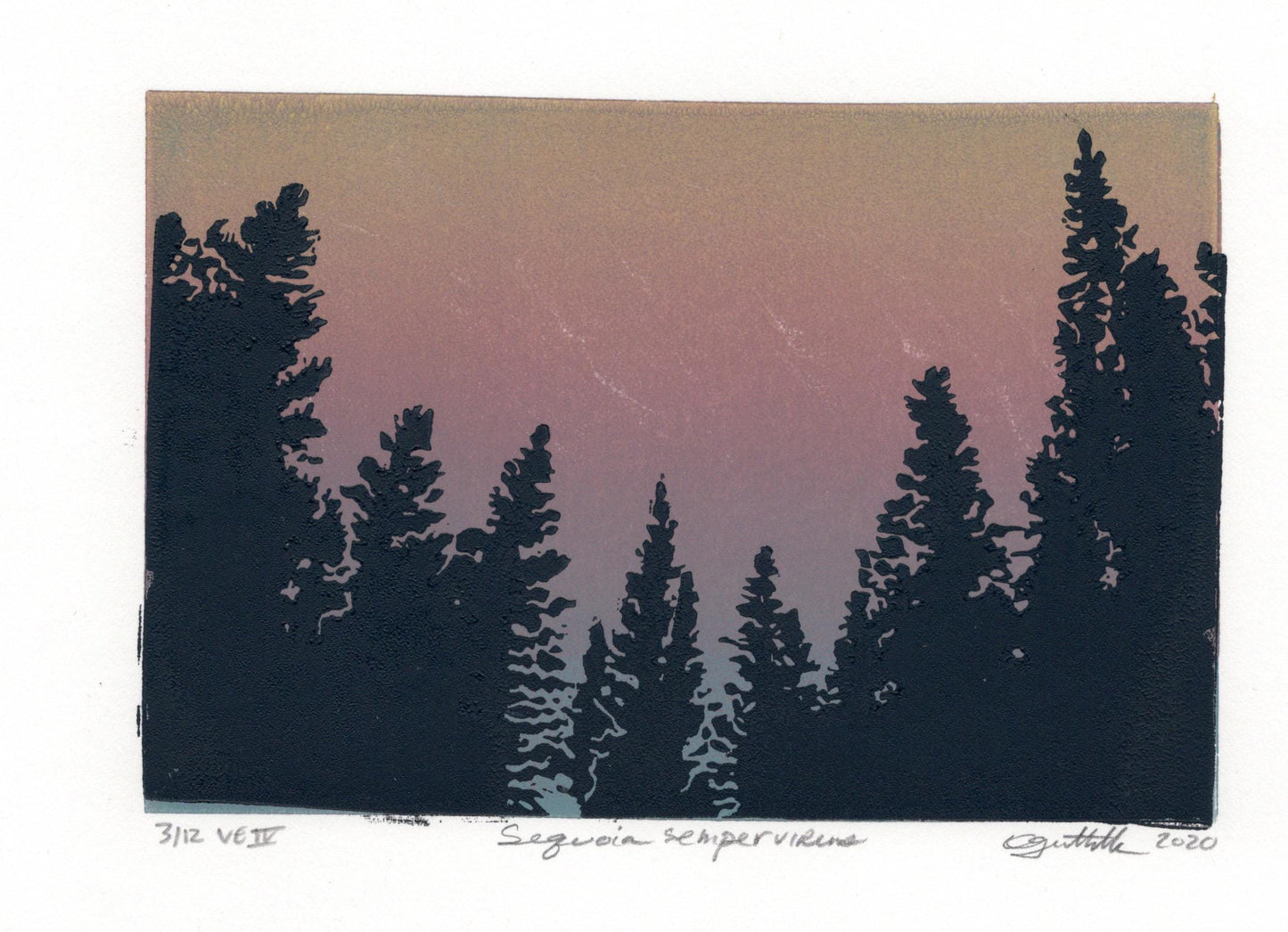 Redwoods Original Linocut Print, 4” x 6” Print Image, Giant Sequoias Print, Wilderness Print, Nature Print, Wildlands Print, California Art