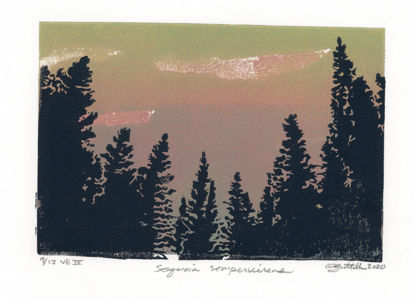 Redwoods Original Linocut Print, 4” x 6” Print Image, Giant Sequoias Print, Wilderness Print, Nature Print, Wildlands Print, California Art