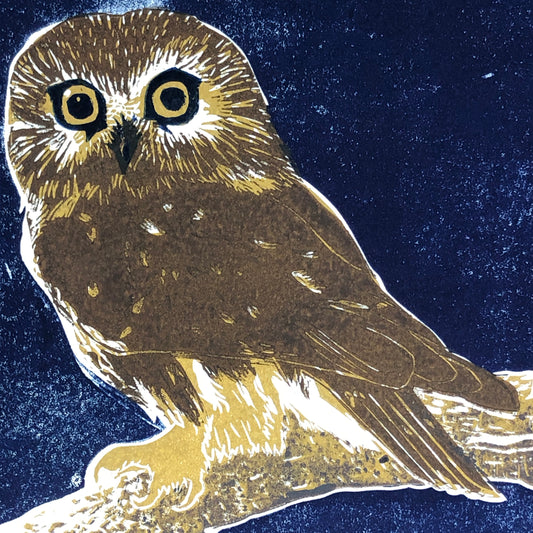 Northern Saw-whet Owl (Aegolius acadicus) Original Linocut Print 8 x 8 in (20 x 20 cm), 3-color limited edition print, Owl Print, home decor