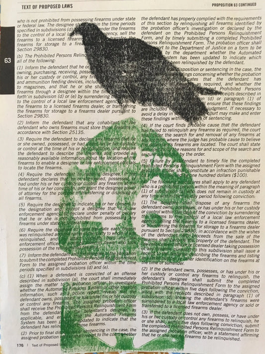 Vultures for Gun Rights