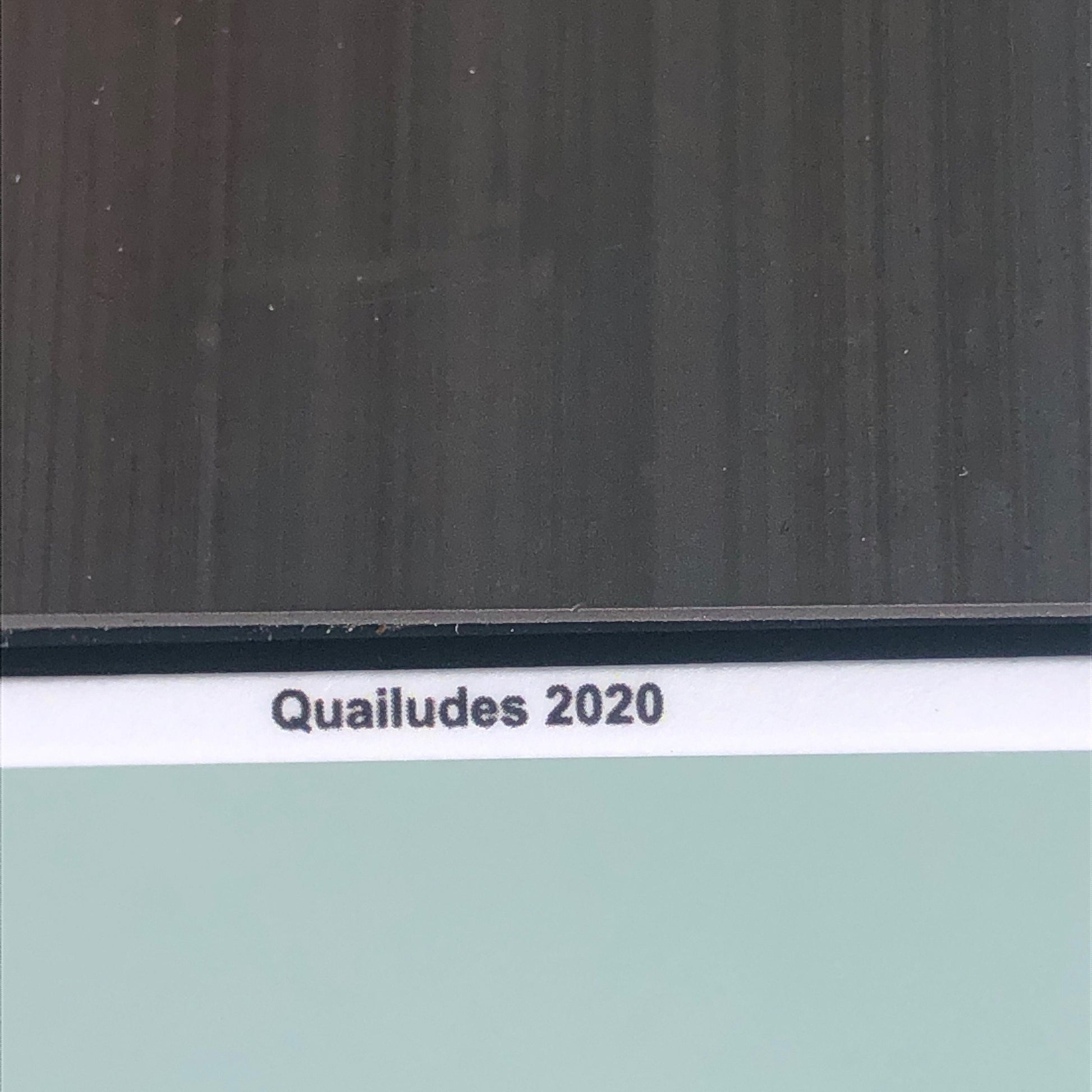 Back side of magnet with title "Quailudes 2020" in black text on white margin.