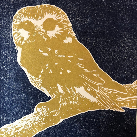 Northern Saw-whet Owl Linocut Print Limited Edition
