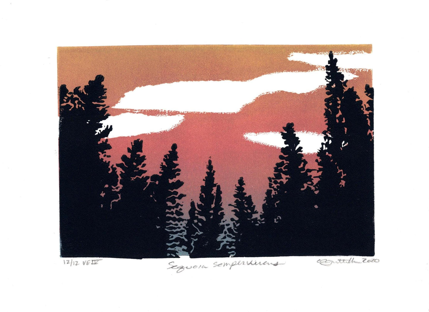 Redwoods Original Linocut Print, 4” x 6” Print Image, Giant Sequoias Print, Wilderness Print, Nature Print, Wildlands Print, California Art